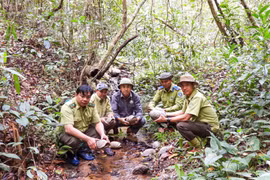 Thả 17 cá thể động vật rừng về môi trường tự nhiên