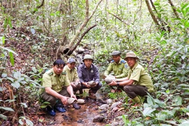 Thả 17 cá thể động vật rừng về môi trường tự nhiên