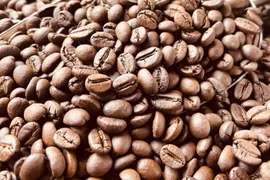 Giá cà phê khởi sắc trở lại, vượt mốc 96.000 đồng/kg