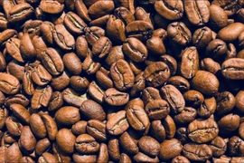 Ngày 26-2, cà phê đảo chiều tăng vọt 2.700 đồng/kg, hồ tiêu mất giá
