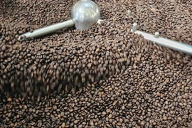 Ngày 19-3, giá cà phê tăng thêm 1.500-1.600 đồng/kg