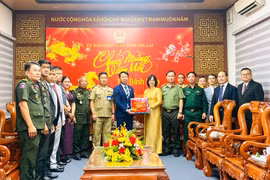 Đoàn đại biểu tỉnh Stung Treng thăm, chúc Tết tỉnh Gia Lai