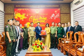 Đoàn đại biểu tỉnh Stung Treng thăm, chúc Tết tỉnh Gia Lai