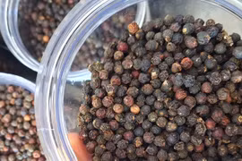 Ngày 17-4, cà phê và hồ tiêu nối dài chuỗi tăng giá