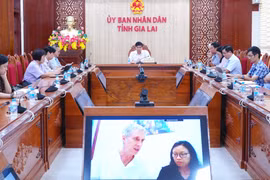 Phó Chủ tịch UBND tỉnh Lâm Hải Giang làm việc với các tổ chức về xúc tiến dự án khoa học tại Gia Lai