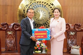 Đoàn cán bộ tỉnh Salavan (Lào) thăm, chúc Tết tỉnh Gia Lai