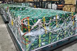 98 tấn rau quả tươi được vận chuyển từ Việt Nam đến Trung Đông bằng máy bay