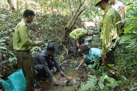 Gia Lai: Thả 20 cá thể động vật rừng quý hiếm về Vườn Quốc gia Kon Ka Kinh