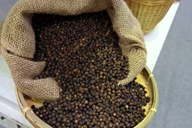 Hồ tiêu rớt giá mạnh đến 2.500 đồng/kg, cà phê nối dài chuỗi tăng