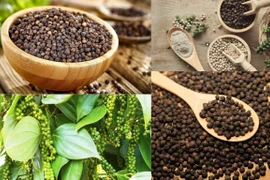 Giá hồ tiêu tăng vọt đến 3.000 đồng/kg, cà phê tiến sát mốc 102.000 đồng