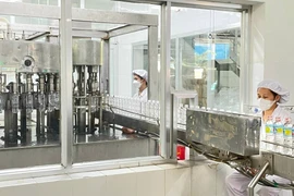 Gia Lai có 6 doanh nghiệp đạt danh hiệu Hàng Việt Nam chất lượng cao năm 2026