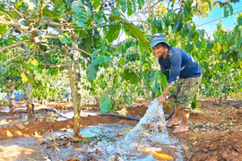 Dự báo, cảnh báo thời tiết tháng 12 trên địa bàn tỉnh Gia Lai