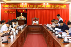 Họp Bộ phận Thường trực Tiểu ban Văn kiện Đại hội đại biểu Đảng bộ tỉnh Gia Lai lần thứ XVII