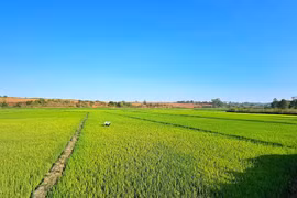 Gia Lai công bố 86 thủ tục hành chính nội bộ