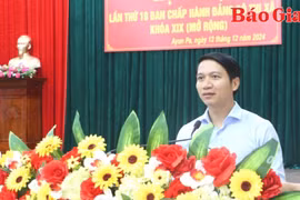 Phó Bí thư Tỉnh ủy Nguyễn Ngọc Lương: Ayun Pa cần chuẩn bị tốt các điều kiện tổ chức đại hội Đảng các cấp