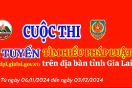 36 cá nhân đạt giải cuộc thi trực tuyến “Tìm hiểu pháp luật trên địa bàn tỉnh Gia Lai”