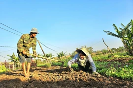 Gia Lai chuẩn bị phương án sẵn sàng ứng phó với thiên tai