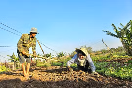 Gia Lai chuẩn bị phương án sẵn sàng ứng phó với thiên tai