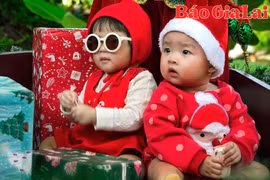 Phố núi Pleiku lung linh mùa Giáng sinh