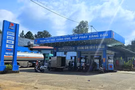 Xăng E5 RON92 tăng 497 đồng/lít trong chiều 28-11