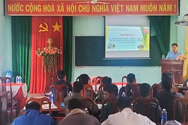 Kbang: Tập huấn kỹ thuật trồng và bảo quản hạt dổi