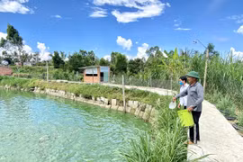 Gia Lai ban hành hạn mức giao đất ở cho cá nhân trên địa bàn tỉnh 