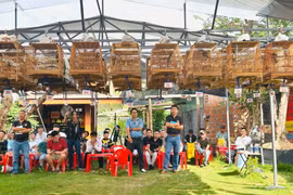 Hội thi chim chào mào đấu hót thị xã Ayun Pa năm 2024