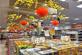 Gia Lai: Đảm bảo đón Tết Nguyên đán vui tươi, lành mạnh, an toàn, tiết kiệm