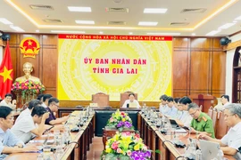 Các đại biểu tham dự phiên họp tại điểm cầu tỉnh Gia Lai.