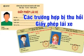 8 trường hợp có thể bị thu hồi giấy phép lái xe từ ngày 1-1-2025