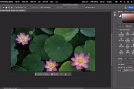 Photoshop chính thức “trình làng” phiên bản tiếng Việt