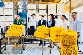 Công ty TNHH một thành viên Cao su Chư Prông đoạt Giải Vàng chất lượng Quốc Gia