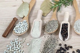 Giá hồ tiêu tăng 1.000 đồng, cao nhất 146.000 đồng/kg.