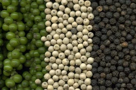 Ngày 7-10, giá hồ tiêu tăng 1.000-2.000 đồng/kg sau chuỗi ngày đi ngang. Ảnh: Internet