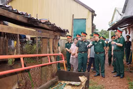 Đoàn công tác đến kiểm tra trực tiếp tại các gia đình thụ hưởng dự án chăn nuôi bò giống sinh sản. 