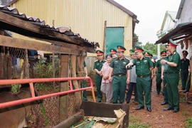 Đoàn công tác đến kiểm tra trực tiếp tại các gia đình thụ hưởng dự án chăn nuôi bò giống sinh sản.