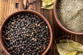 Tăng nhẹ 500 đồng, giá hồ tiêu lên mức 149.000 đồng/kg