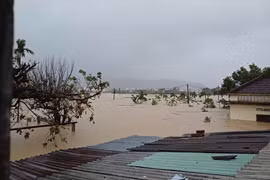 Nhiều trường cao đẳng, đại học giảm học phí cho sinh viên vùng lũ