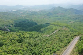 Dự án cao tốc Quy Nhơn-Pleiku sẽ có 2 công trình hầm cấp đặc biệt qua đèo An Khê và đèo Mang Yang. Ảnh: Quang Tấn