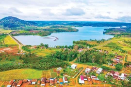 Vĩnh Sơn thắm sắc hoa đào mùa đông