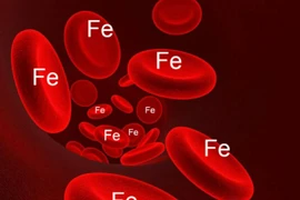 Những dấu hiệu “chỉ đích” cơ thể đang thiếu sắt