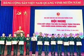 Pleiku: Khen thưởng 13 tập thể và 89 cá nhân xuất sắc trong phong trào “Cựu chiến binh gương mẫu”