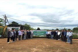 Gia Lai tổng kết mô hình sản xuất cà phê hữu cơ