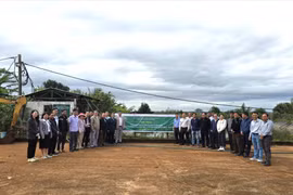 Gia Lai tổng kết mô hình sản xuất cà phê hữu cơ