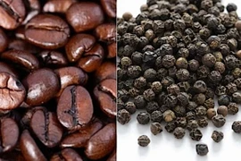 Ngày 1-11, giá cà phê và hồ tiêu cùng khởi sắc.