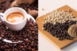 Ngày 2-12, giá cà phê và hồ tiêu đồng loạt “tụt dốc” 800-2.000 đồng/kg.