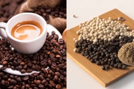 Ngày 2-12, giá cà phê và hồ tiêu đồng loạt “tụt dốc” 800-2.000 đồng/kg.