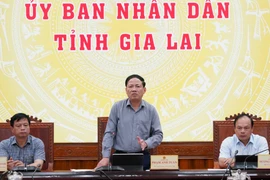 Chủ tịch UBND tỉnh Phạm Anh Tuấn phát biểu chỉ đạo tại cuộc họp. Ảnh: N.H