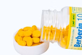 Phát hiện mới về tác dụng của thuốc berberin