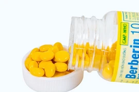Phát hiện mới về tác dụng của thuốc berberin